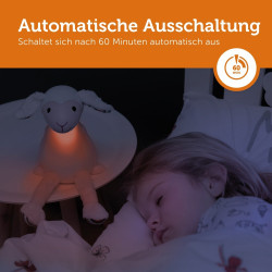 Schaltet sich automatisch aus