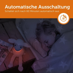 Schaltet sich automatisch aus