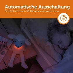 Schaltet sich automatisch aus